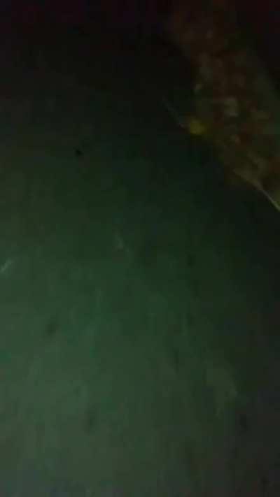 help I've been stuck here for days