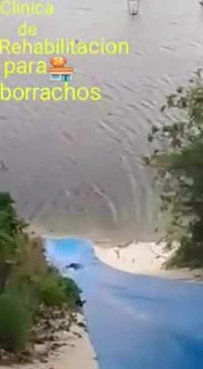 Rehabilitaciones brgs ...