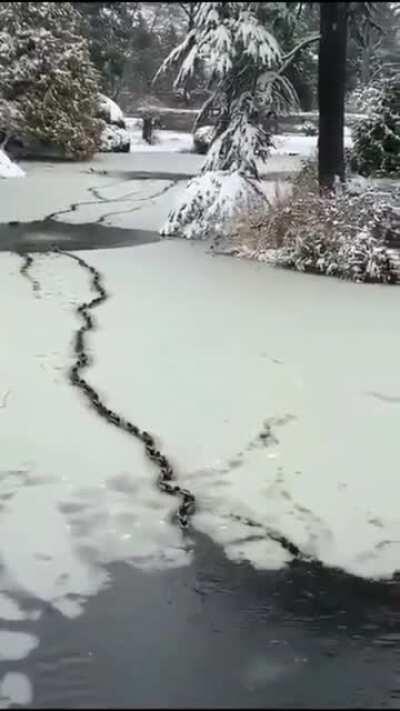 Right there, officer