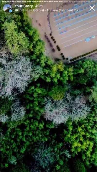 Южнокорейский Сачхон 사천시 непередаваемо красив. Я скромно приглашаю тебя посмотреть на него моими глазами.