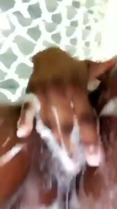 Freaky shower time💦🤤