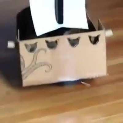 Капитан Кот Воробей