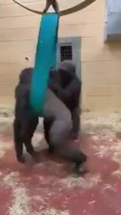 When you try spicing things up with a swing.