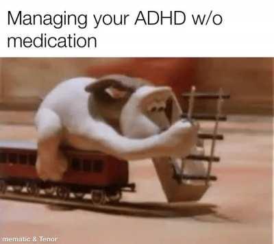 We are experts on how to live life on the edge of disaster.