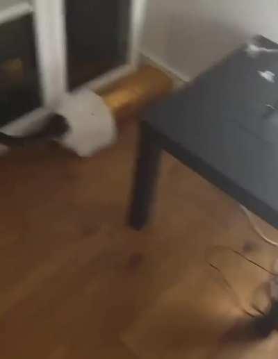 Chonkers until the end of the bag not for gluttonous