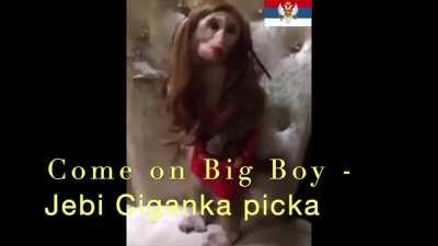 Monteniggerin Beauty