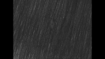 Why Sunburn is a HORRIBLE ship Powerpoint (TW: jumpscare & loud noises)