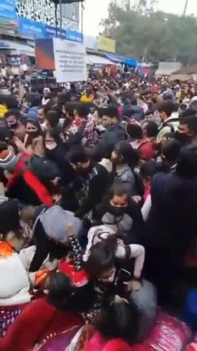 Competition for this year's Darwin award is looking pretty tough