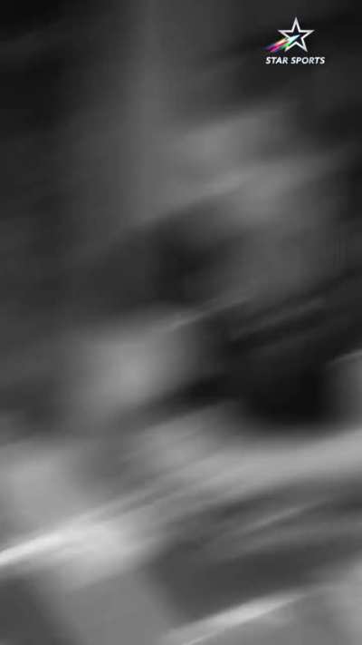 Honey Trapping Cummins