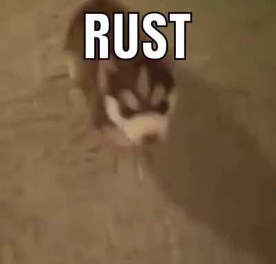 Why does he swear so much?