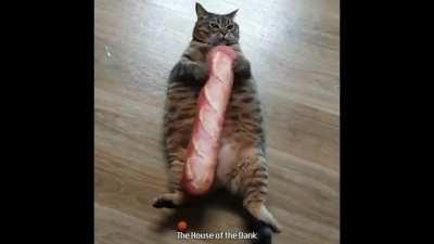 Un saludo al chat pipoLove.