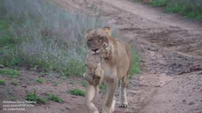 I wonder what did he do to deserve it