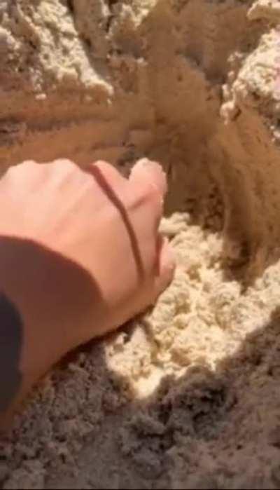 Just gonna dig a liiiitle bit deeper...