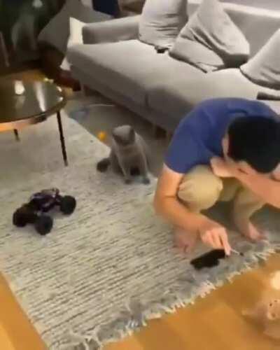 When you realize you’re not as cute as you used to be