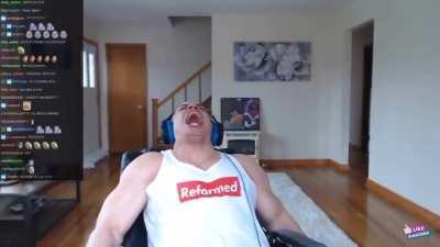 Flamingo for no reason