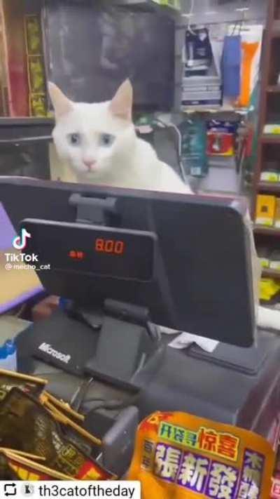 Bad cashier