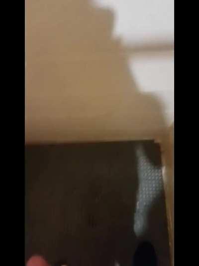 Would this virgin be enough for you? (Trans)