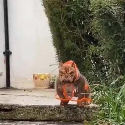 When you get so brutal, but my mother says to wear a raincoat