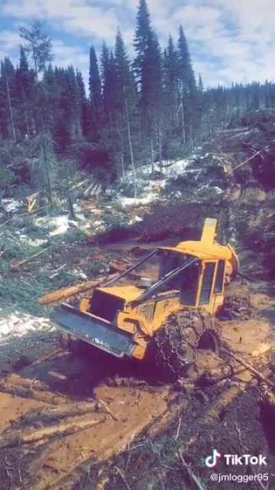 Looking forward to that logging update 🌲