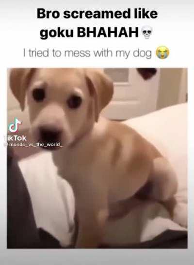 Bro screamed like goku BAHAH