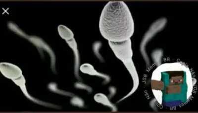 ó vai tomanoteucu ein maluco 🤨🤨😠😡 vai toma no teu cu 👌 em o filha da puta🤬🤬✌️😡 vai te fude em vai se fude em 🤔🤔😠 vai pra casa do caralho 🖕🖕🤜🏠 EM EU TE CONHEÇO NESSA PORRA❓ ❓ 🤔🤔🤔🤔 EU SEI QUEM TU EH NESSA PORRA❓ ❓ 🤔🤔🤔🤔EU SEI ONDE TU MORA NESSA PORRA?🤔🧐🧐🖕 TU