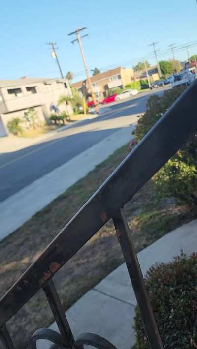 I miss doing this, I should start again, it's such a rush! (This is legal where I live)