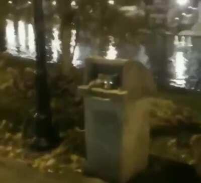 knock knock.. Who's this?