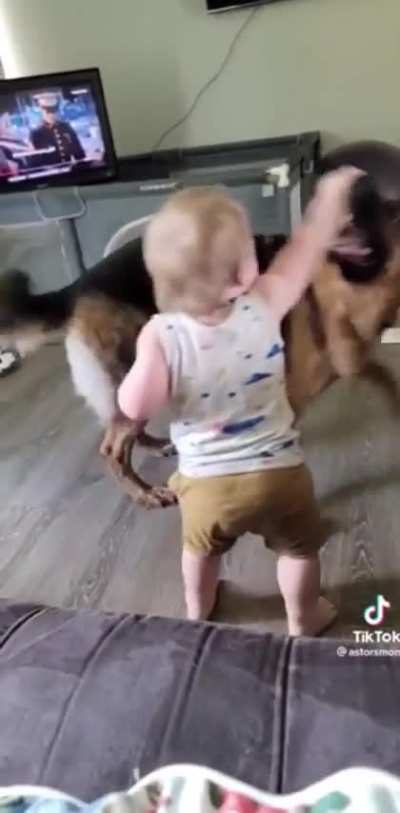 Baby vs dog