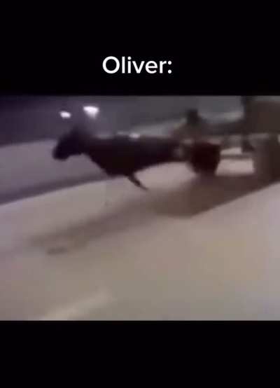 did anyone else think oliver was potentially abt to grow up into invincible’s biggest antagonist at one point?