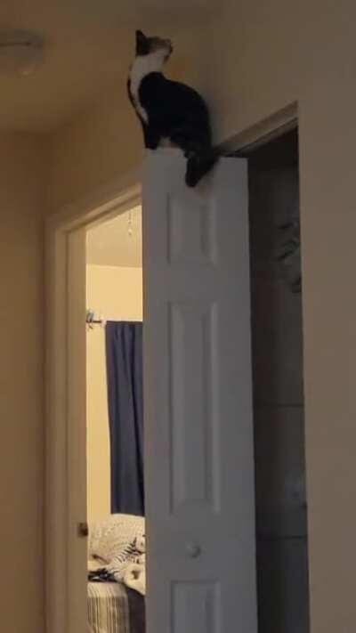 The 2nd squeak sounds like a door hinge