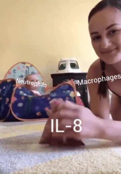 Low effort but high yield... [Shitpost]