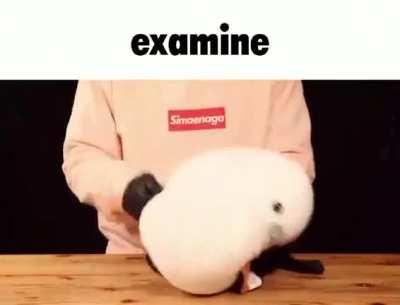 what a silly little plushie