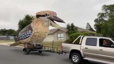 Guy spent his time in lockdown building a huge laughing Kookaburra. Here’s the result.