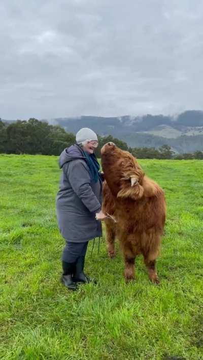 Hard to say who is enjoying this more