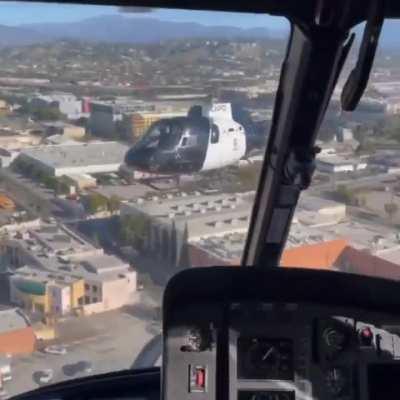 The pigs hate it when I blast the Tokio Drift main theme and do doughnuts around them in my Cessnuh