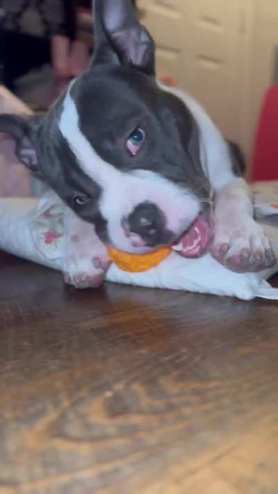 RELAXING AFTER DINNER