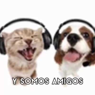 y somos amigos