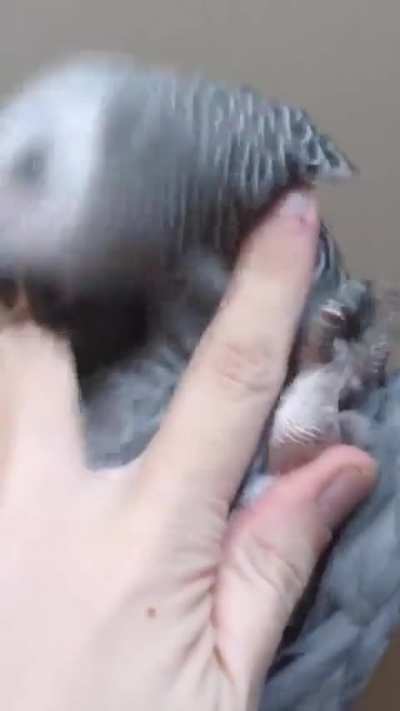 Baby girl biting me then have audacity to tell ME to stop it