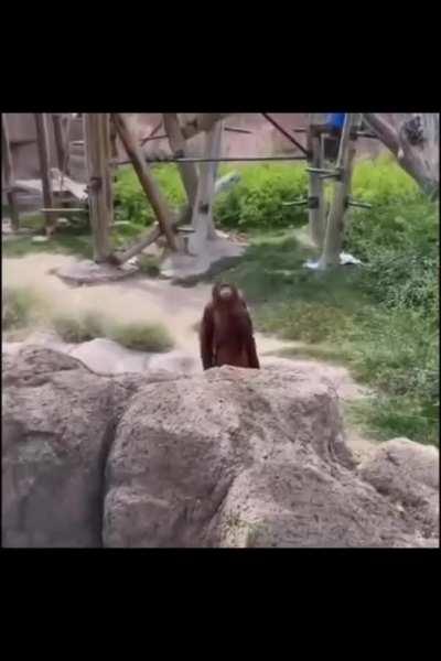 Strange give me that Time Stone