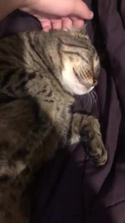 The worlds happiest fat bastard