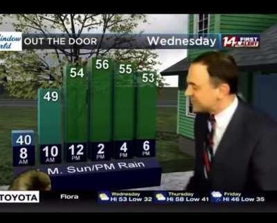 Betty the weather cat