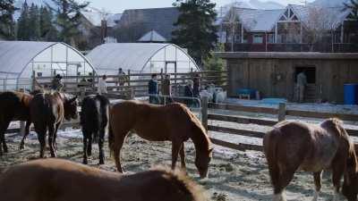 Last of Us Scene - Tommy: 