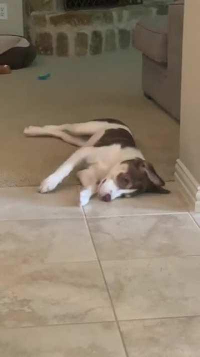 More Confusion from Theodore