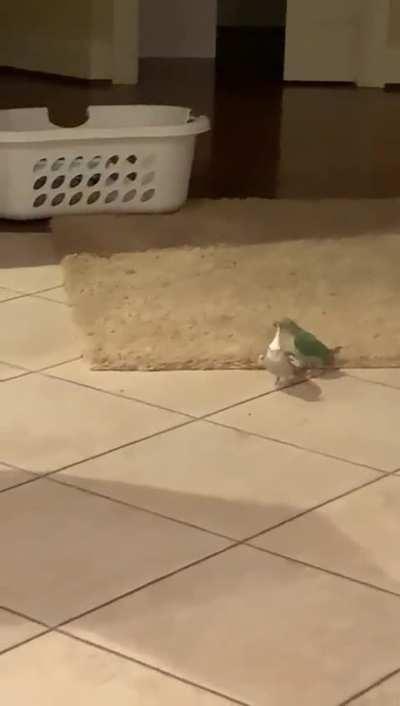 Missing Soren and his antics all the time