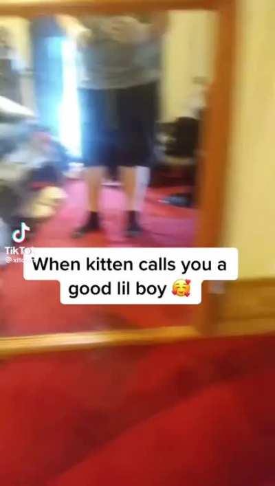 what the hell is this