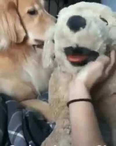 When your jealousy goes too far