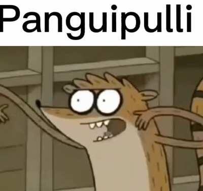Panguipulli be like: