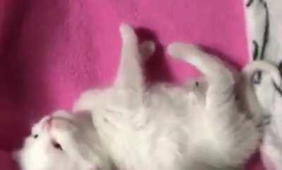 Behold the criminals currently in jail.