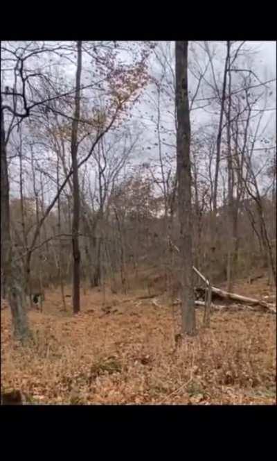 I am Groot! Also, fuck you in particular.