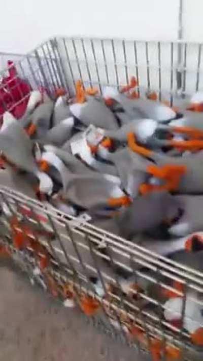 Quem nunca quis fazer isso?